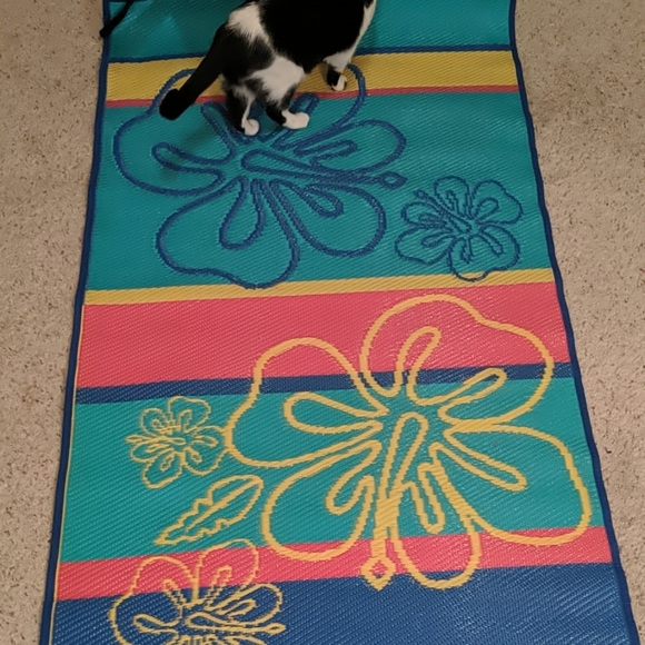Beach Mat - Picture 2 of 2